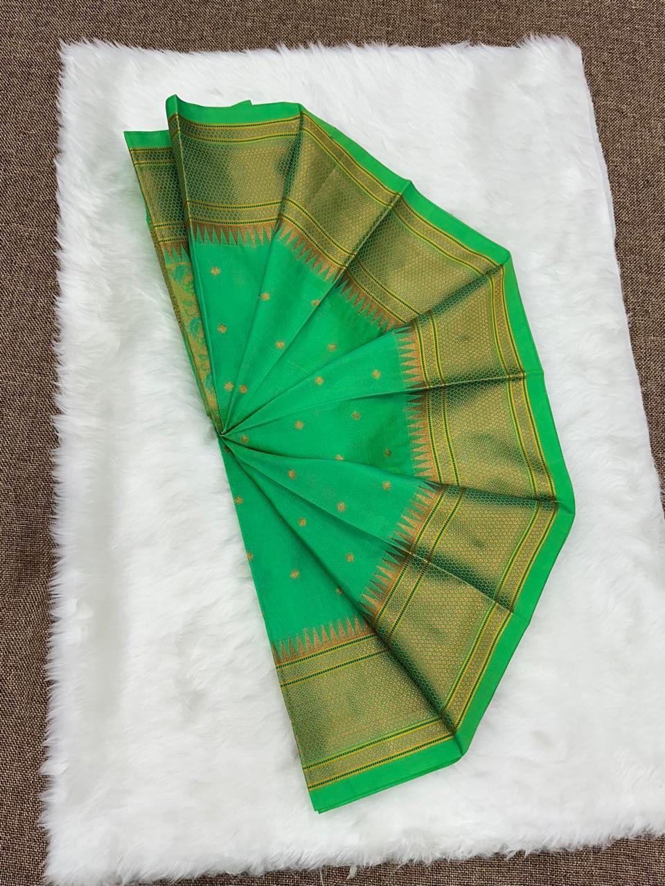 Trisha Kalanjali Paithani
