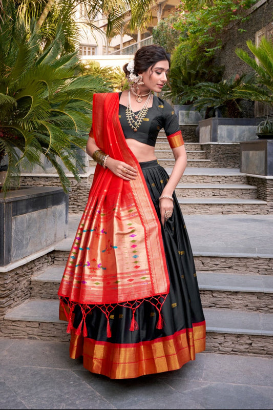 Paithani Lehenga Choli